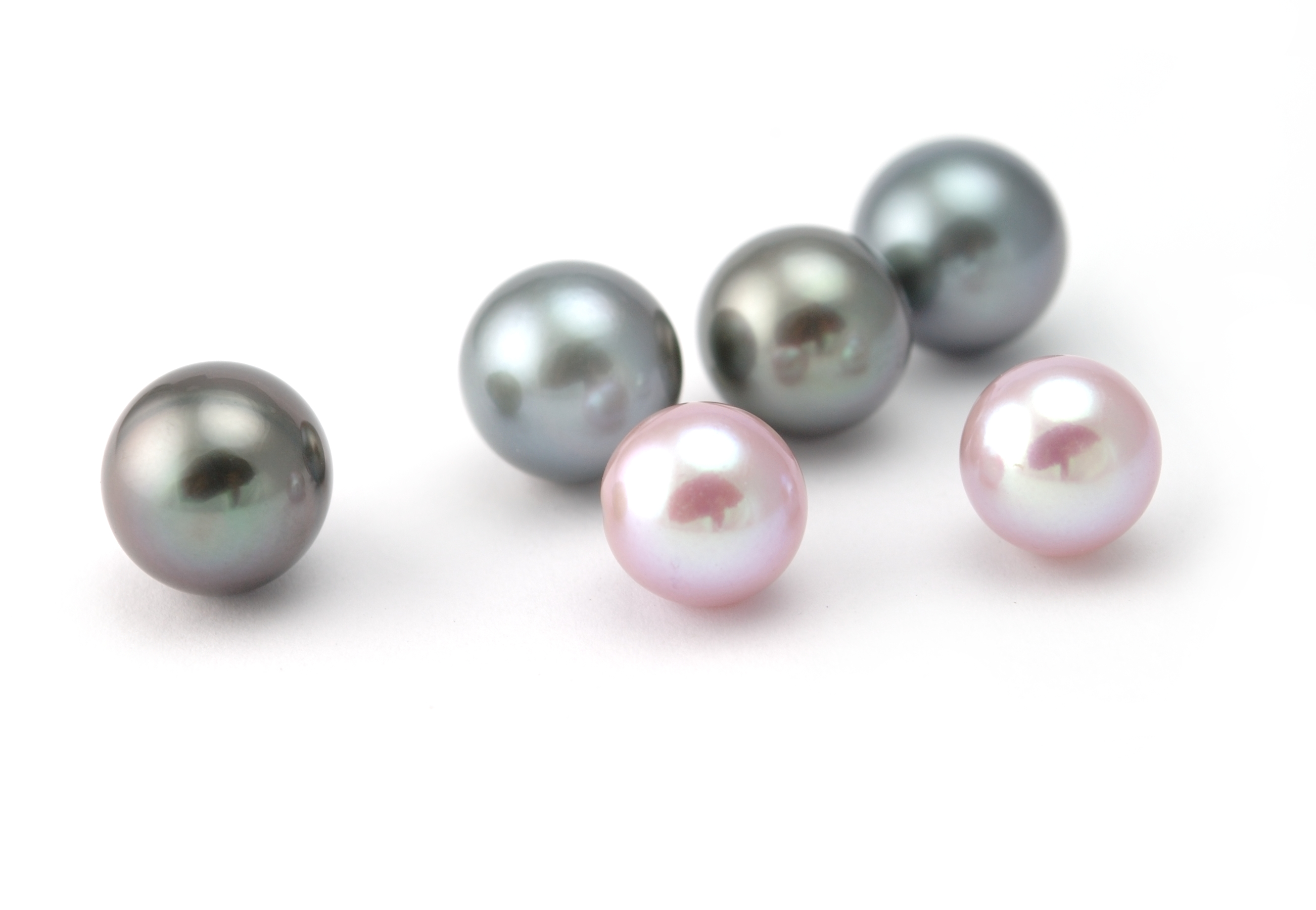 South-sea-and-freshwater-pearls